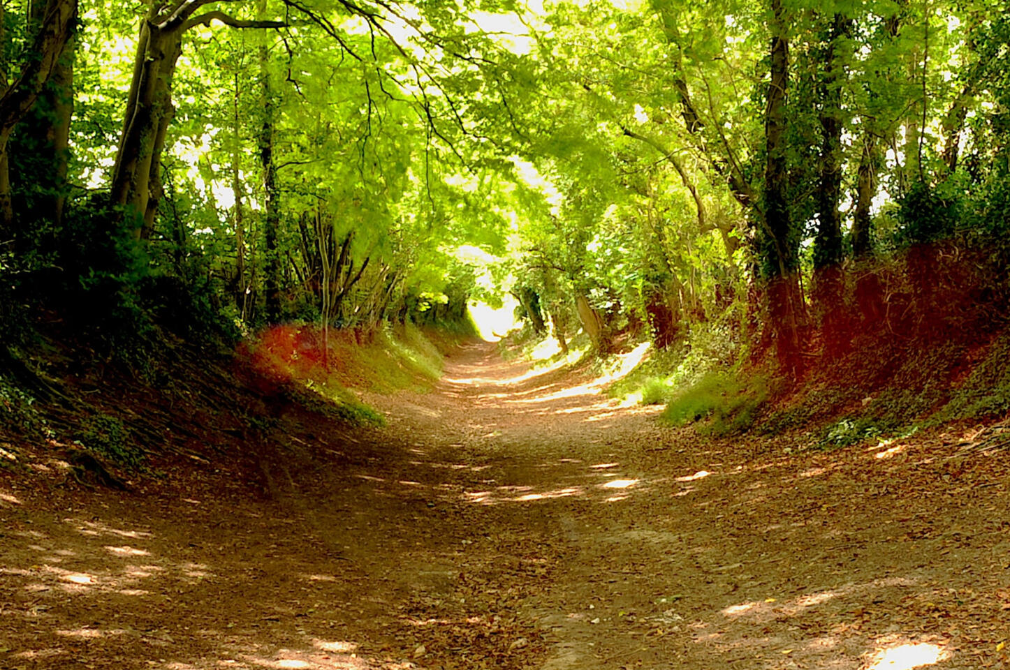 Video 4 • Trust your path