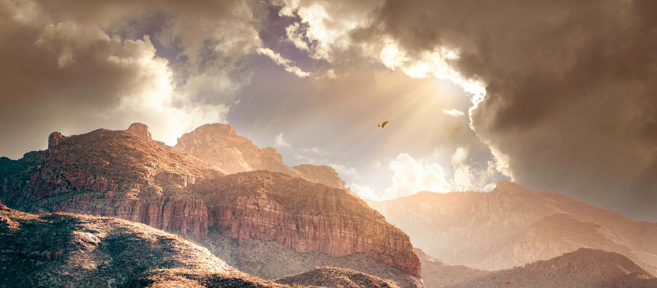 Video 5 • Stand in your power