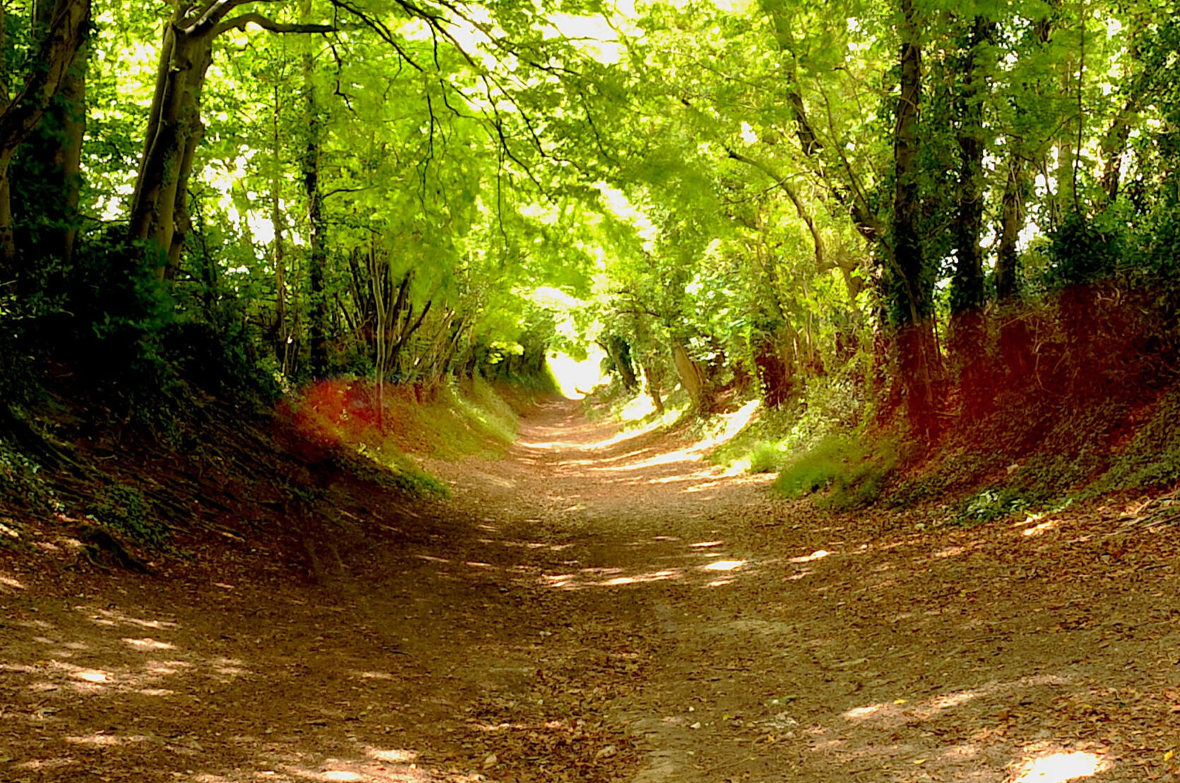 £33 • Trust your path