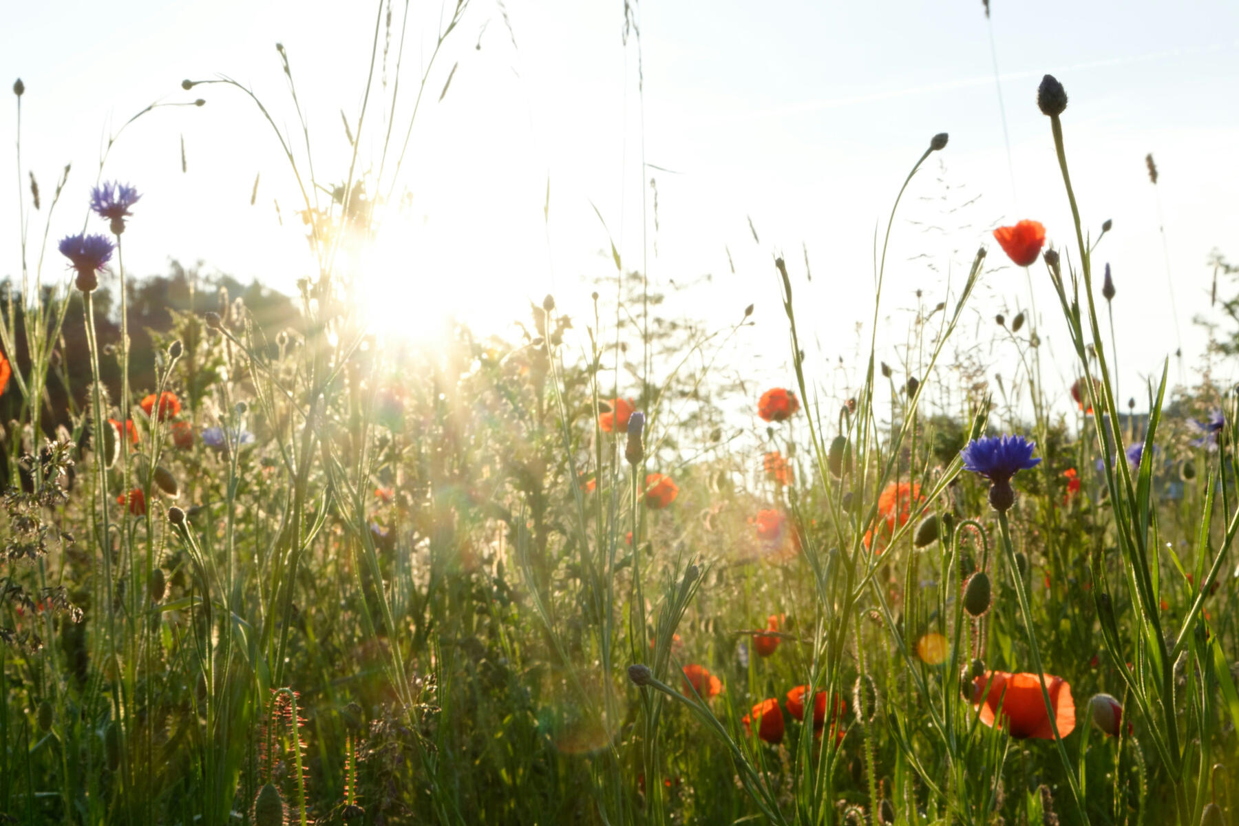 £22 • Own your magnificence